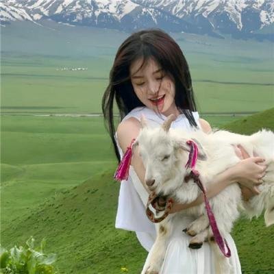 龙无目 在线观看